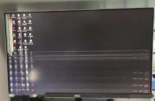 紙枷鎖的幽默懲戒，誰家的貓像你一樣